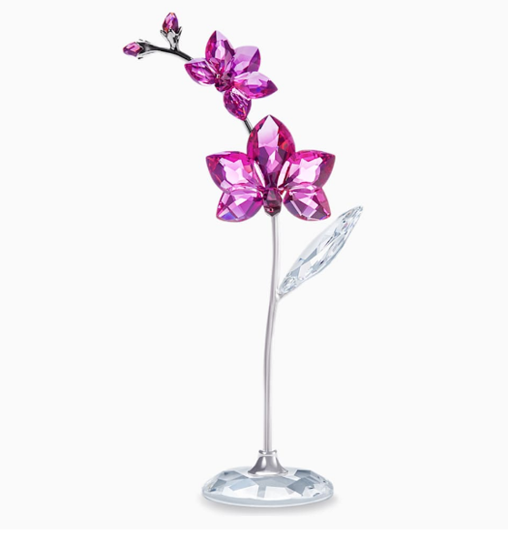Orchid- Flower Dreams Collection