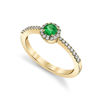 14kt Yellow Gold Round Natural Emerald and Diamond Halo Ring